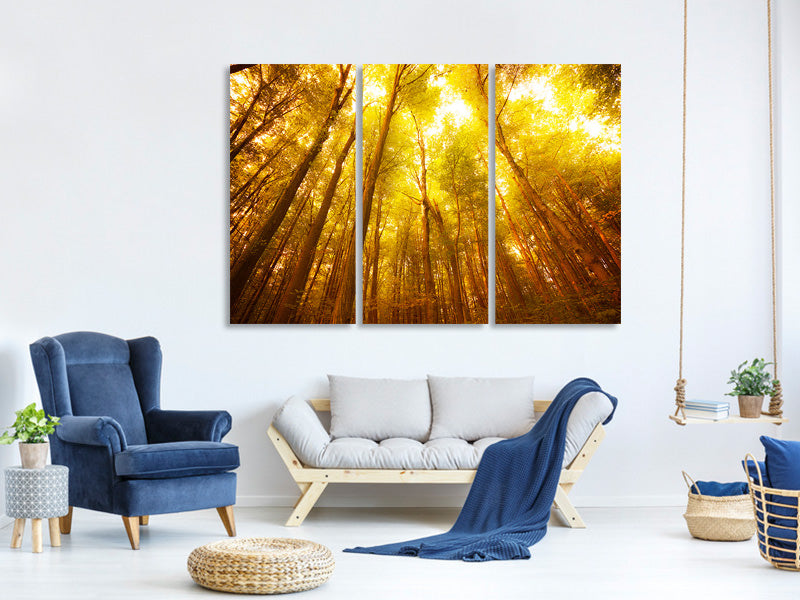 3-piece-canvas-print-autumn-forest