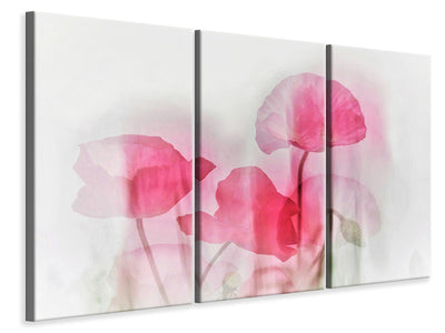 3-piece-canvas-print-flowers