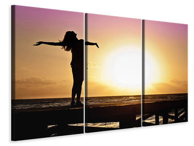 3-piece-canvas-print-freedom-by-the-sea