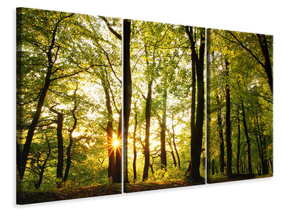 3-piece-canvas-print-sunset-between-trees