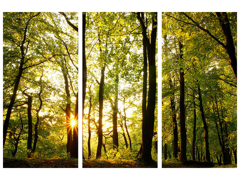 3-piece-canvas-print-sunset-between-trees