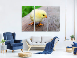 3-piece-canvas-print-the-chick