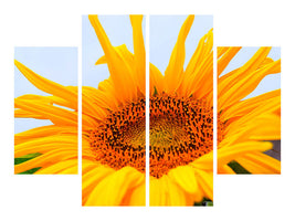 4-piece-canvas-print-big-sunflower