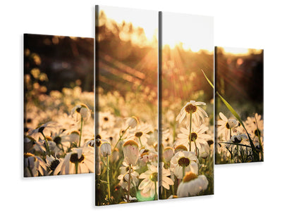 4-piece-canvas-print-daisies-at-sunset