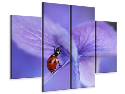 4-piece-canvas-print-ladybird-on-purple-hydrangea