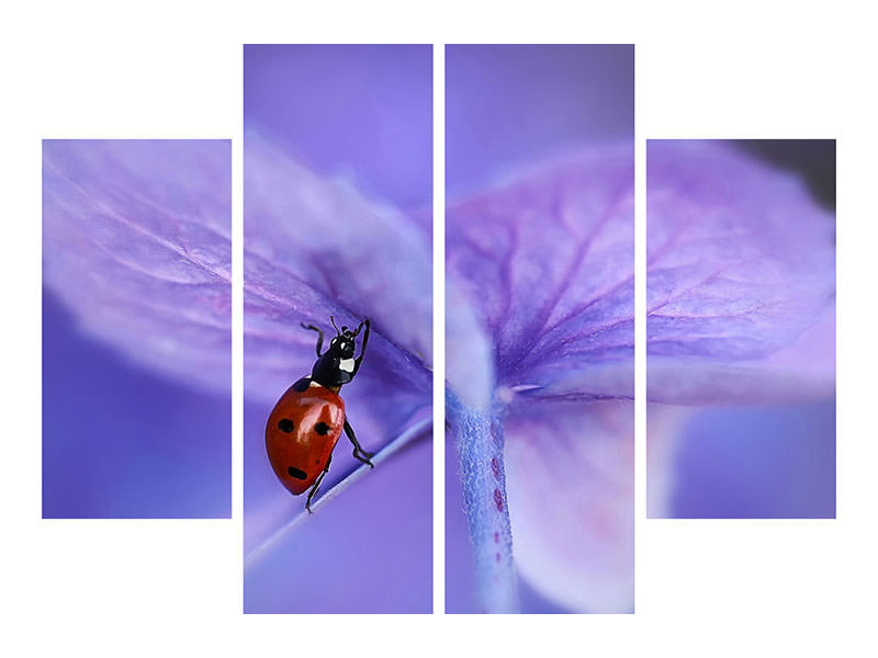 4-piece-canvas-print-ladybird-on-purple-hydrangea