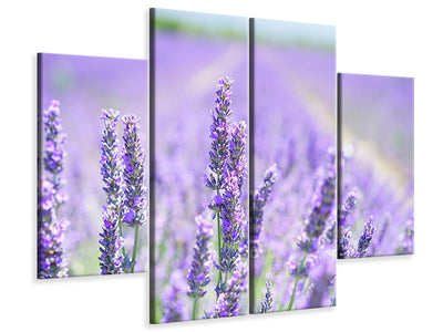 4-piece-canvas-print-the-lavender-blossom