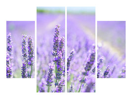 4-piece-canvas-print-the-lavender-blossom