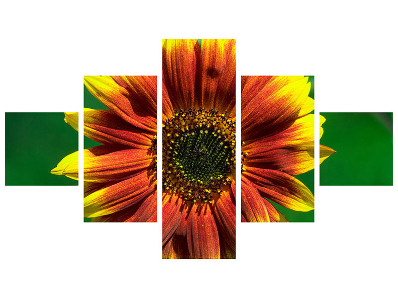 5-piece-canvas-print-colorful-sunflower