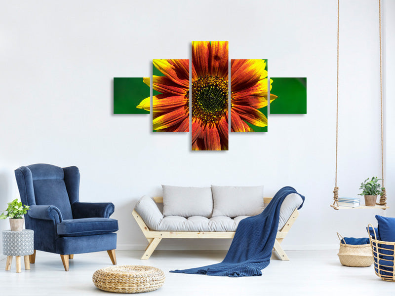 5-piece-canvas-print-colorful-sunflower
