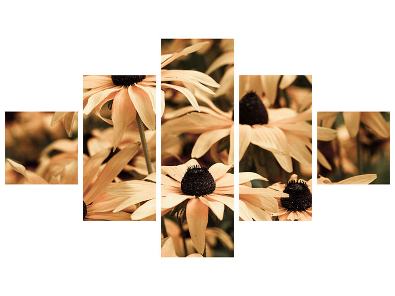 5-piece-canvas-print-daisies-in-sepia