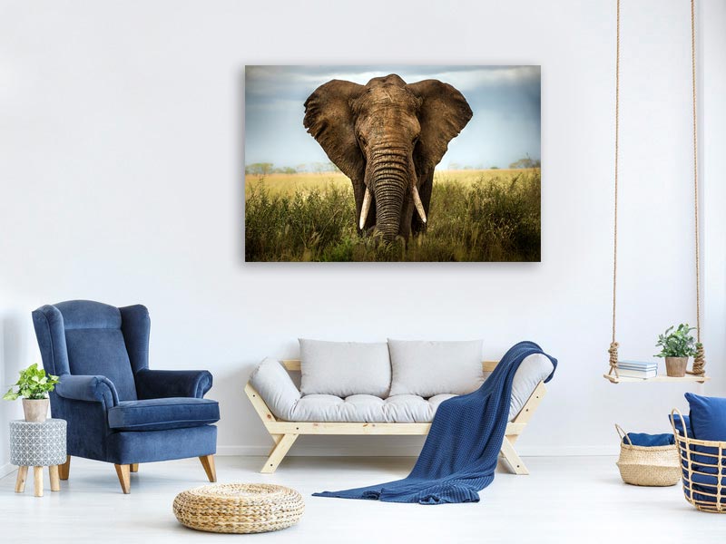 canvas-print-encounters-in-serengeti-x