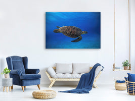 canvas-print-green-turtle-in-the-blue