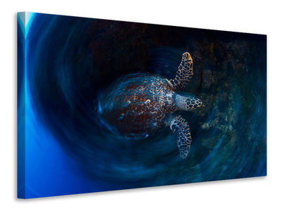 canvas-print-hawksbill-sea-turtle