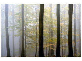 canvas-print-in-between-x