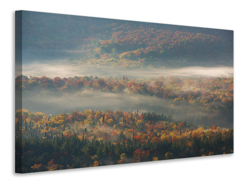 canvas-print-misty-morning-ii-a
