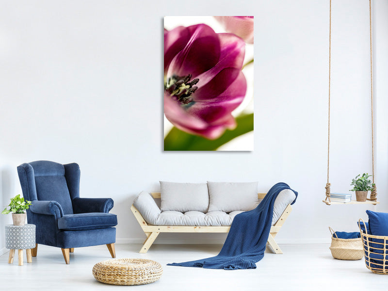 canvas-print-tulip-iii