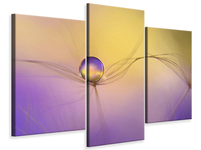 modern-3-piece-canvas-print-in-arms