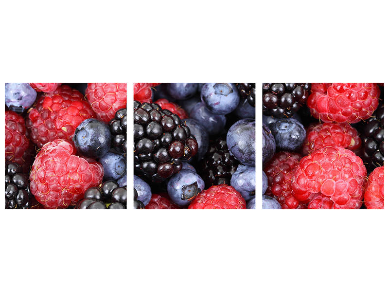 panoramic-3-piece-canvas-print-fruity-berries