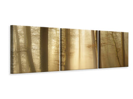 panoramic-3-piece-canvas-print-into-the-trees