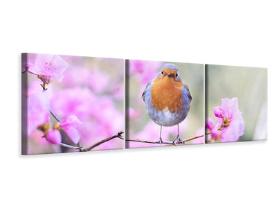 panoramic-3-piece-canvas-print-spring-bird