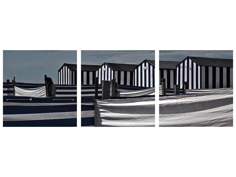 panoramic-3-piece-canvas-print-territorial-behavior