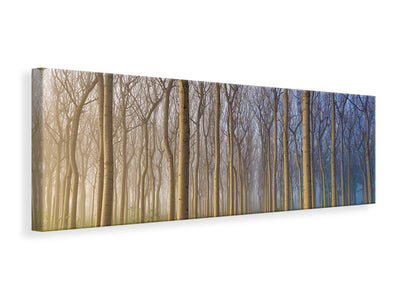 panoramic-canvas-print-morning-of-the-forest