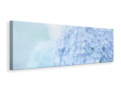 panoramic-canvas-print-the-hydrangea