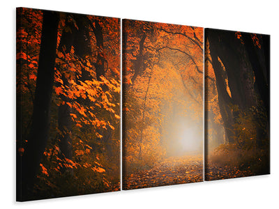 3-piece-canvas-print-autumn-light-in-the-forest