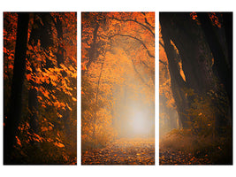 3-piece-canvas-print-autumn-light-in-the-forest