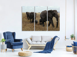 3-piece-canvas-print-elephant-family