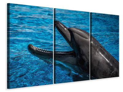3-piece-canvas-print-friendly-dolphin