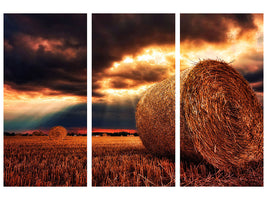 3-piece-canvas-print-mystic-landscape