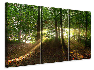 3-piece-canvas-print-sun-in-the-forest