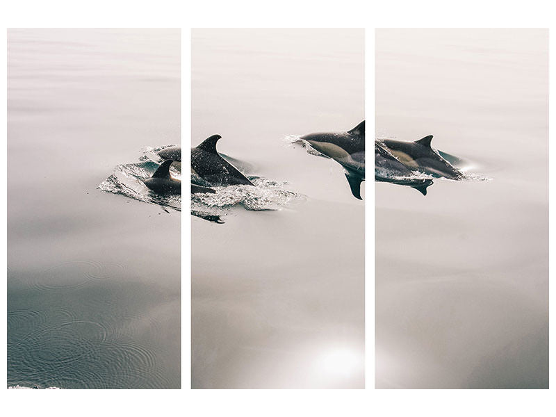 3-piece-canvas-print-the-dolphins