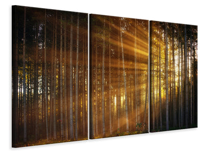 3-piece-canvas-print-trees-in-sunbeams