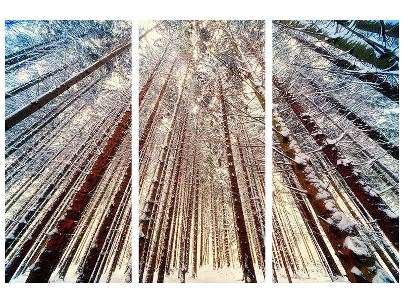3-piece-canvas-print-trees-in-the-snow