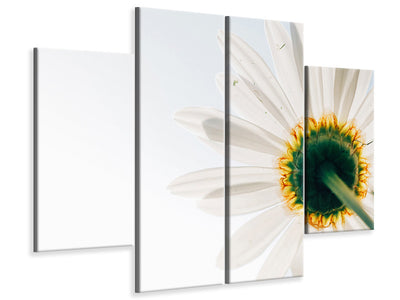 4-piece-canvas-print-a-daisy