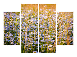 4-piece-canvas-print-a-field-full-of-camomile