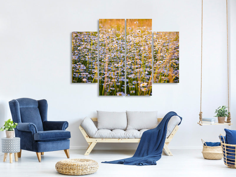 4-piece-canvas-print-a-field-full-of-camomile