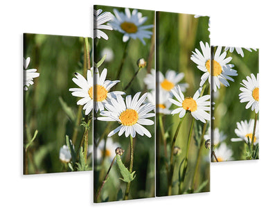 4-piece-canvas-print-xl-daisies