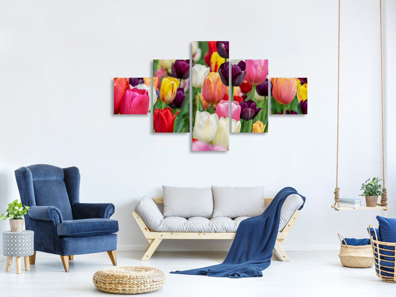 5-piece-canvas-print-the-colors-of-the-tulips