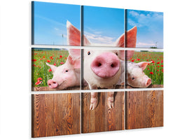 9-piece-canvas-print-pig-in-luck