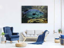 canvas-print-big-fish