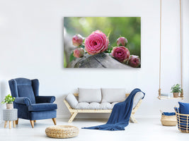canvas-print-bush-roses