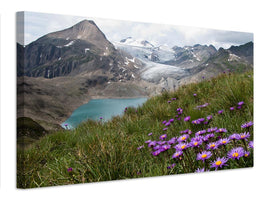 canvas-print-corno-gries-switzerland-x