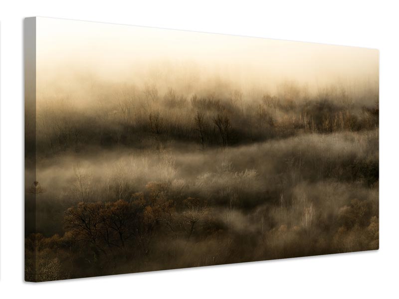 canvas-print-untitled-xft