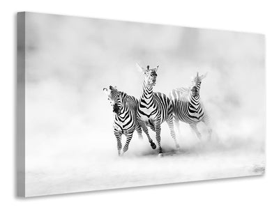 canvas-print-zebras