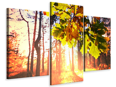 modern-3-piece-canvas-print-autumn