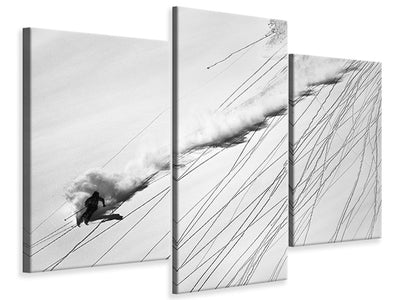 modern-3-piece-canvas-print-skiing-powder